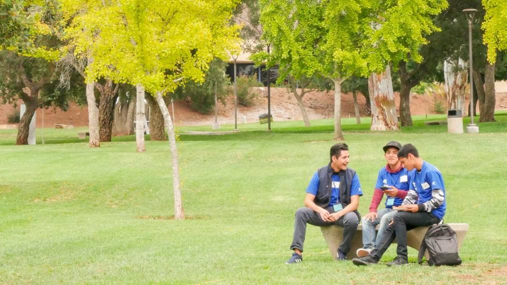 3 students on lawn